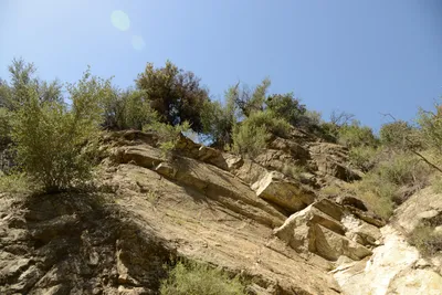 DSC_1639 (Large).JPG